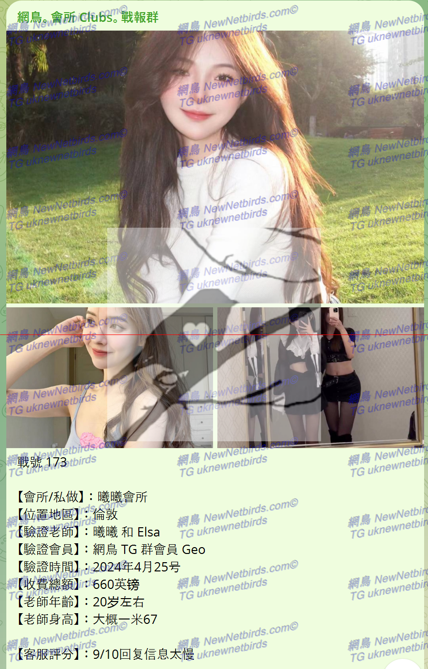 戰號 173 1.png